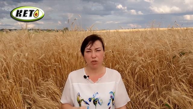 ✔ КАКАЯ ЕДА НЕ ПРЕРЫВАЕТ ИНТЕРВАЛЬНОГО ГОЛОДАНИЯ ➕ КАКИЕ ПРОДУКТЫ ПОМОГУТ ВАМ ПРОДЕРЖАТЬСЯ ДОЛЬШЕ ✔