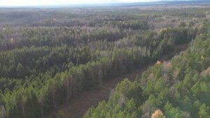 Пытаюсь найти Лосей при помощи Квадрокоптера DJI мини 3 pro  Тайга  Река, Болото, полёт над Лесом.