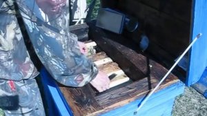 Про свищевую матку