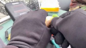 Ловля судака на спиннинг в октябре на озере Сенеж. Судак на джиг, поролон и отводной поводок.