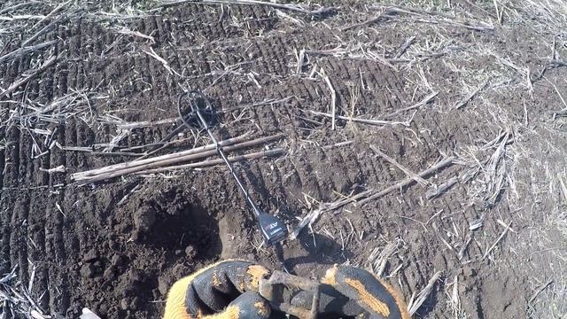 Поиск находок на старом урочище дал классные монеты и крестьянскую сережку правда с утратами
