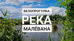 Велопрогулка. Река Малёвана. Молодые лебеди.