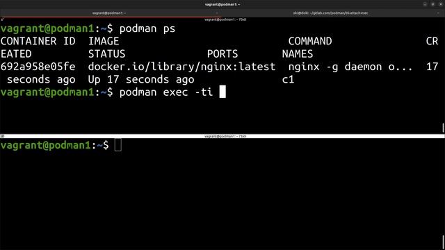 PODMAN - 05. Intéragir avec un conteneur ?? Exec vs Attach смотреть онлайн