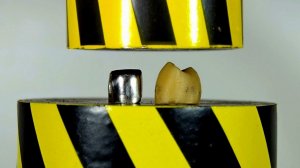 HYDRAULIC PRESS VS MOST DURABLE DENTURES