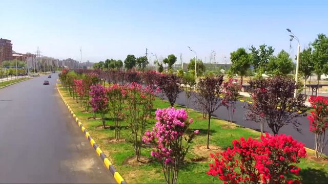 ЛАВҲА ДАРАХТОНИ СЕРЕНА ДУШАНБЕНКА 2020 смотреть онлайн