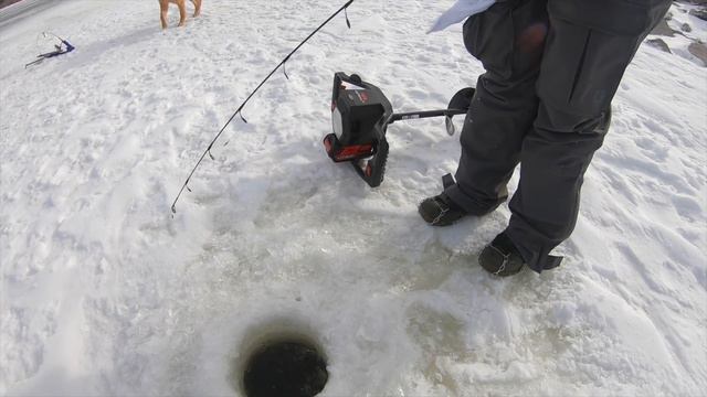 CATCH and COOK while Ice Fishing!!! (SO DELICIOUS) смотреть онлайн