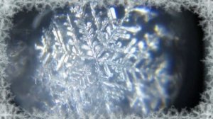 Снежинки под микроскопом