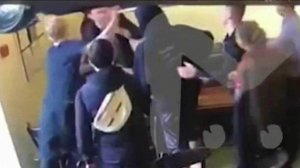 В центре скандала вновь оказались полузащитник "Краснодара" Павел Мамаев и нападающий "Зенита" Ал...