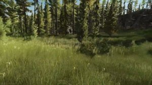 Escape From Tarkov. Лес, поручение механика, стоянка егеря.