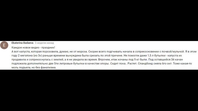 ВЫПАЛ СНЕГ - УБОРКА ПОМИДОРОВ.Обзор участка, ноябрь смотреть онлайн