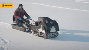 Snowdog: 20 преимуществ