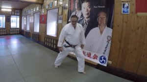 Техника перемещений в каратэ. Юрий Орлов