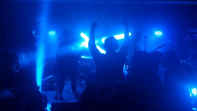 The kollectors - from nowhere (live in Gibson bar 2024) смотреть онлайн