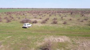 Брошенный сад у хутора Апёнкин в Ростовской области