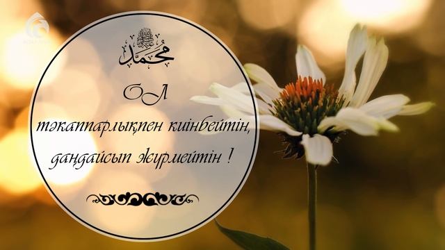 ЕҢ СҮЙІКТІ ЖАН!  ЖАҢА РОЛИК  АСЫЛ АРНА