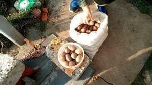 начало огородных работ