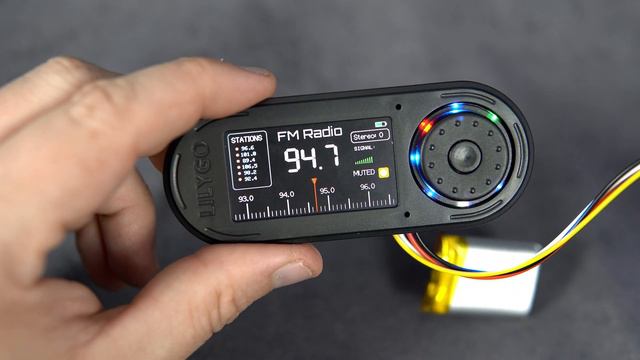 FM Radio Project  LilyGO T-Embed ESP32 S3 + Arduino IDE 2.0