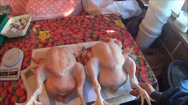 ВЫГОДНО ИЛИ НЕТ ДЕРЖАТЬ КУРЕЙ !?