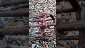 Генератор ацетилена своими руками/ Acetylene generator with your own hands from a propane cylinder