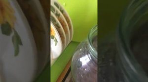 Раствор марганцовки для растений - зацветёт и колючка!!!