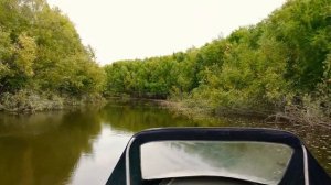 Тест лодки SOLAR 500 jet тоннель с мотором TOHATSU M 50 EPTOS
с водометной насадкой.