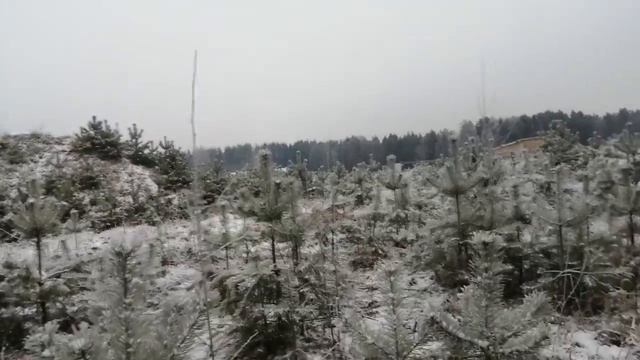 Геология участка Лемболово Приозерский р он