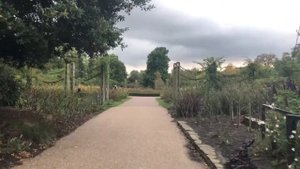 【VLOG】 Peaceful Park in London / The Regent's Park 【London#4】