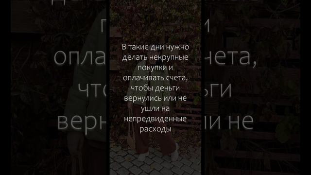 #бацзы #астрология #феншуй #активации #годкролика #картарождения #прогнознадень #фэншуй #эзотерика
