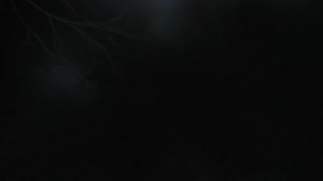 СЕЛО. НОЧЬ. ЗИМА. ОСТАЁТСЯ ДЕЛАТЬ ТОЛЬКО ЭТО!