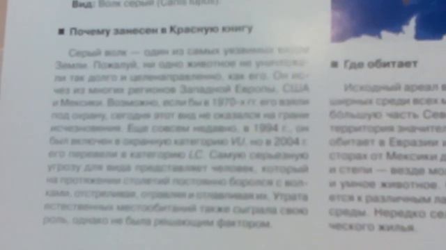 Красная книга серый волк