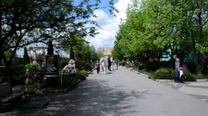 НОВЫЕ   ЖИТЕЛИ  ТАЙГАНА  !!!  Крым