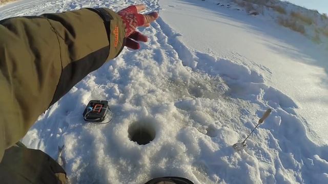 ДАЙ ПОПРОБОВАТЬ! Щука на жерлицы, окунь и плотва на безмотылку. Зимняя рыбалка 2019