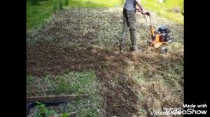 Скосил и запахал мотокультиватором Daewoo озимую рожь в огороде
