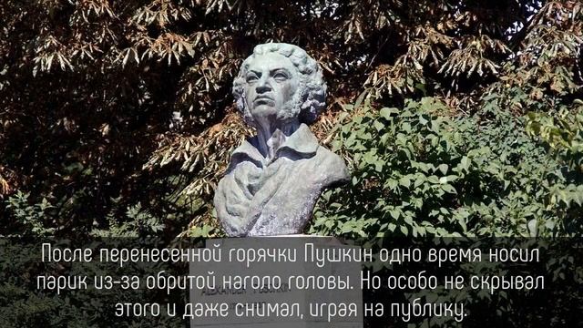 ⭐️ 5 фактов о ПУШКИНЕ, которые вас наконец-то УДИВЯТ! смотреть онлайн
