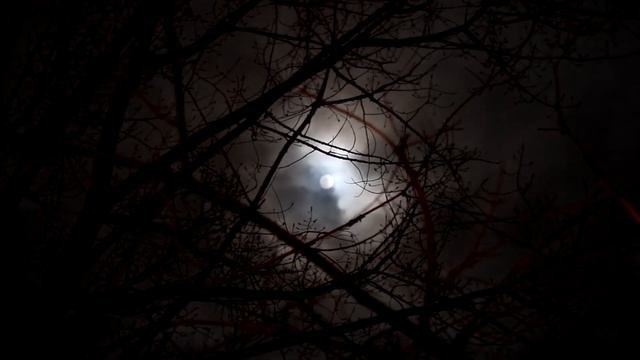 Щелезуб смотреть онлайн