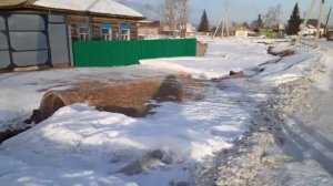 Речка Паниковка в Торгашино и пруд с уточками...