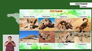 7-класс | География |  Природный комплекс. Природная зона.