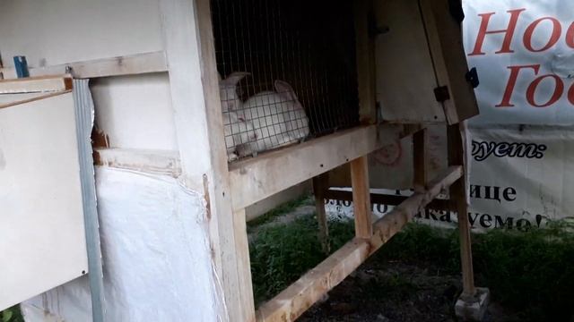 Обзор Клетки для Кроликов. Самые удобные клетки для кроликов. Секретная чистота клетки