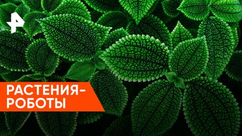 Растения-роботы — Знаете ли вы, что?