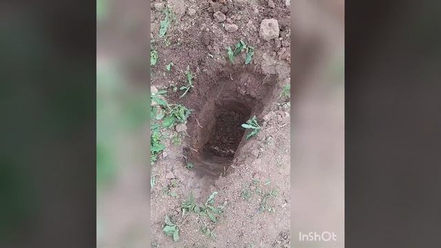 септик евролос Bio 4 +#септики #евролосбио