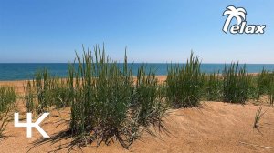 Nature Sounds on a Sandy Beach and Calm Surf Sound