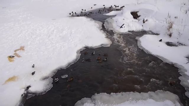 Мытищи, район Перловка зимой смотреть онлайн