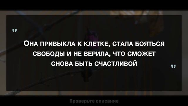 ХОТЕЛ БЫ Я ЗНАТЬ ЭТО РАНЬШЕ... Притча МЕНЯЮЩАЯ ЖИЗНИ смотреть онлайн