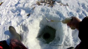 Рыбалка. Рыбалка на арбалет. Ловля окуня карлика травяника