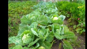 г.Первоуральск,продажа дома по ул Чехова