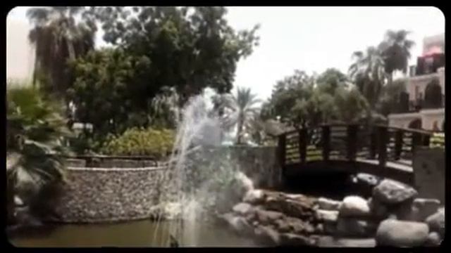 Palm Tree Court - summer 2013 (Created with Magisto) смотреть онлайн