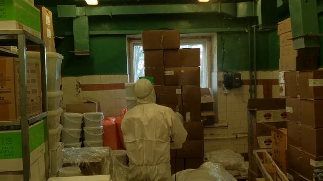 Пищевая моль как с ней бороться? Как избавиться от пищевой моли? Обработка Холодным туманом смотреть онлайн