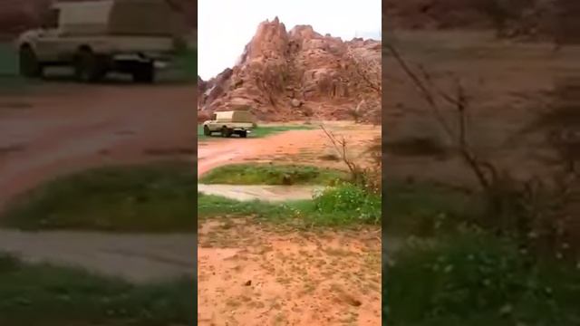 «Лучший день, в который восходит солнце, – это пятница. смотреть онлайн