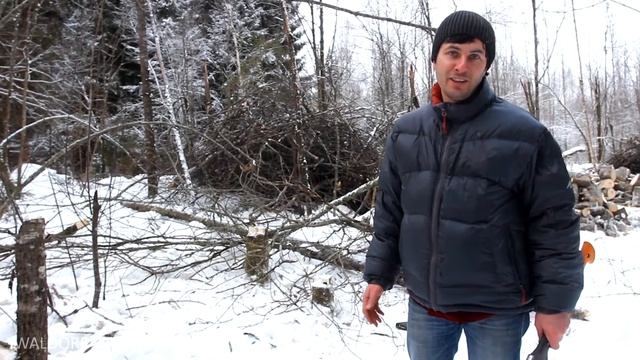 Урок немецкого в деревне Монино