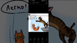Приколы Коты воители, мемы!